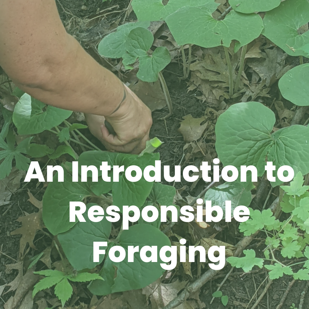 An Introduction to Responsible Foraging