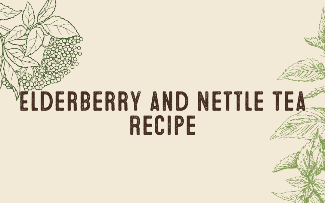 Nettle and Elderberry Herbal Hot Tea Recipe