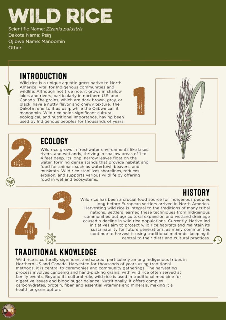 Ingredient Profiles - NATIFS